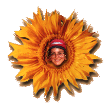 10sunflowerface